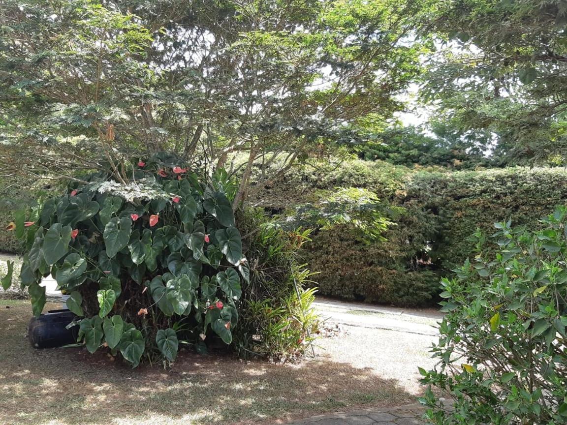 Finca Paraiso Calima Bagian luar foto