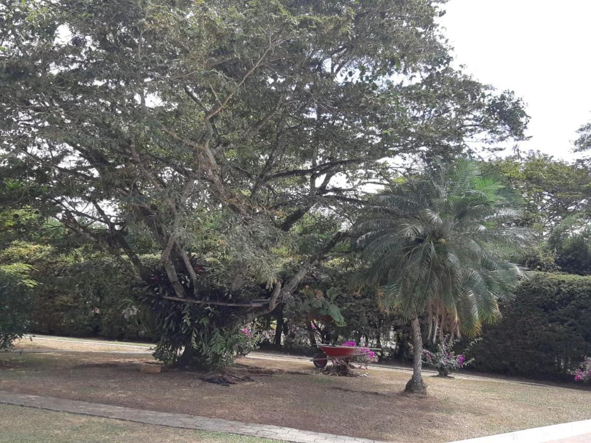 Finca Paraiso Calima Bagian luar foto