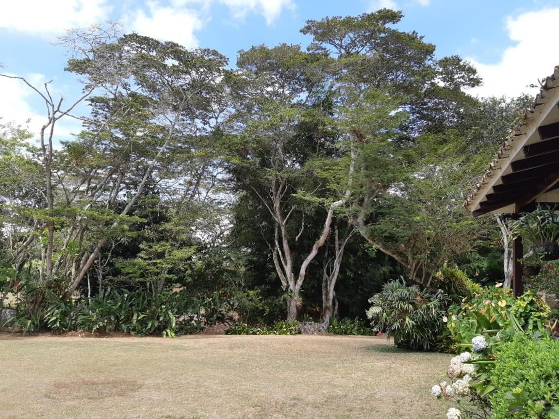 Finca Paraiso Calima Bagian luar foto